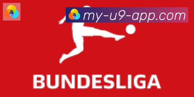 U9国际体育合作伙伴
